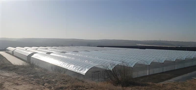 Af hverju pólýetýlen (Pe) hlífar fyrir gróðurhús eru betri en pólývínýlklóríð...