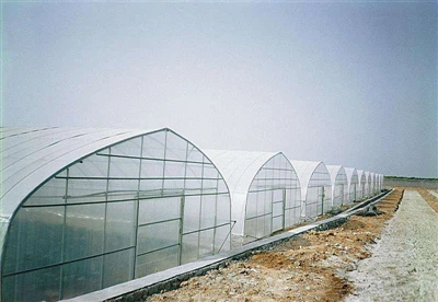 Velja gróðurhúsaplast í samræmi við þarfir plöntunnar þinnar