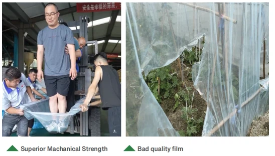 product-548-311 product-548-311