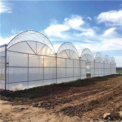 Diffused Greenhouse Film