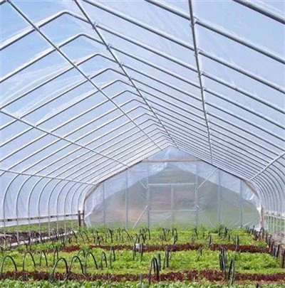 Greenhouse Poly Film